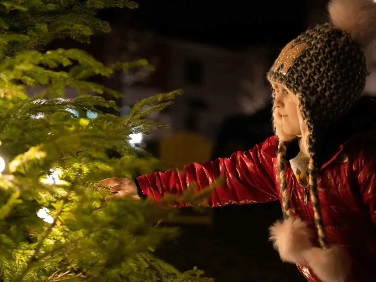 Get in the spirit at the holiday tree lighting