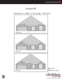Iverson III - Arbor Oaks: Boyd, Texas - Cheldan Homes