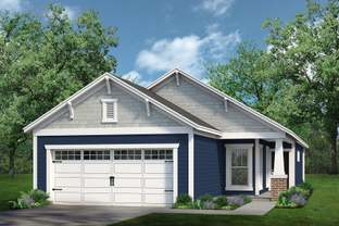 The Sunflower - Traditions at Carolina Forest: Myrtle Beach, South Carolina - Chesapeake Homes