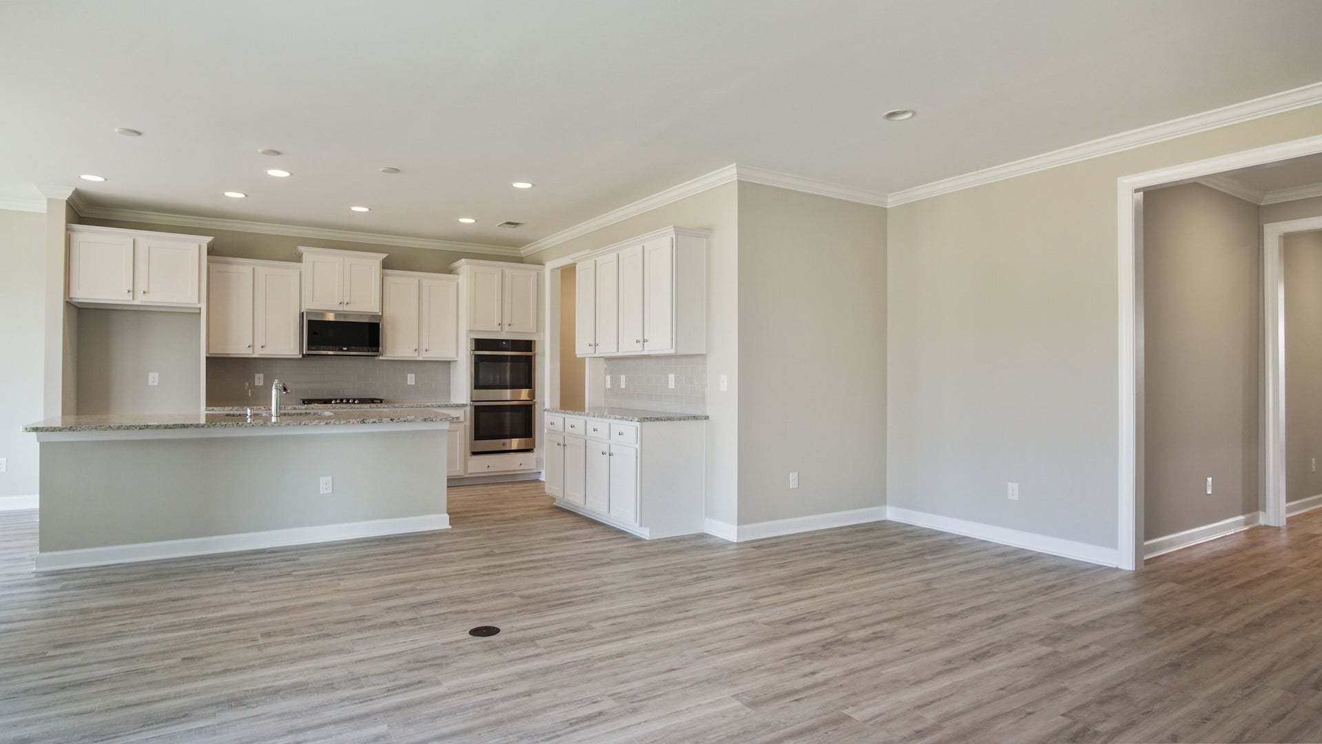 Great Room & Kitchen
