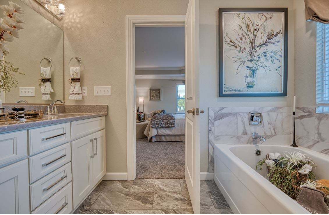 Owner's Bathroom