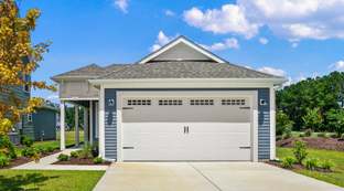 The Sunflower - Traditions at Carolina Forest: Myrtle Beach, South Carolina - Chesapeake Homes