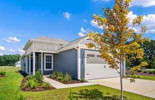 The Sunflower - Traditions at Carolina Forest: Myrtle Beach, South Carolina - Chesapeake Homes