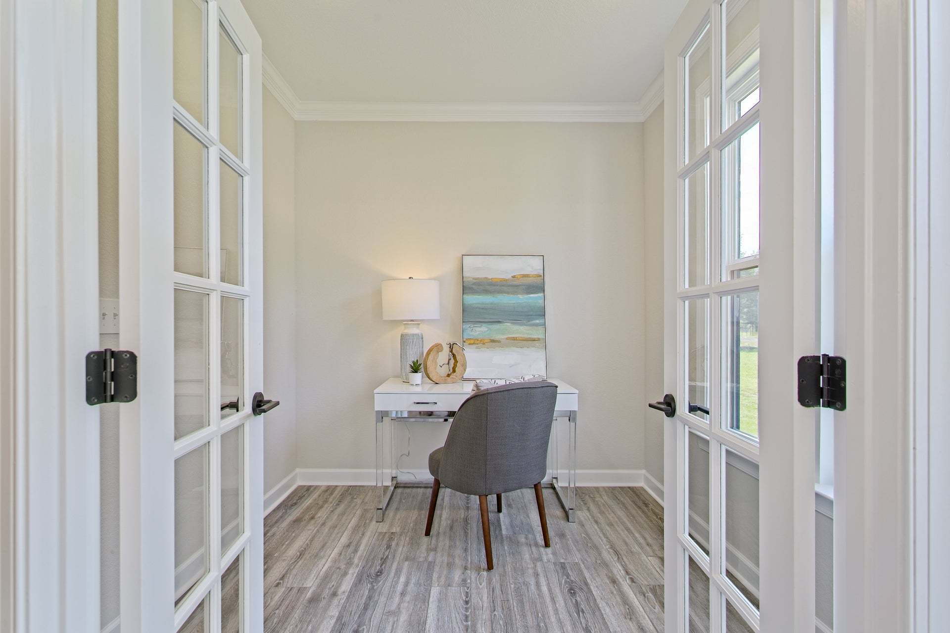 Princeton Zoom Office