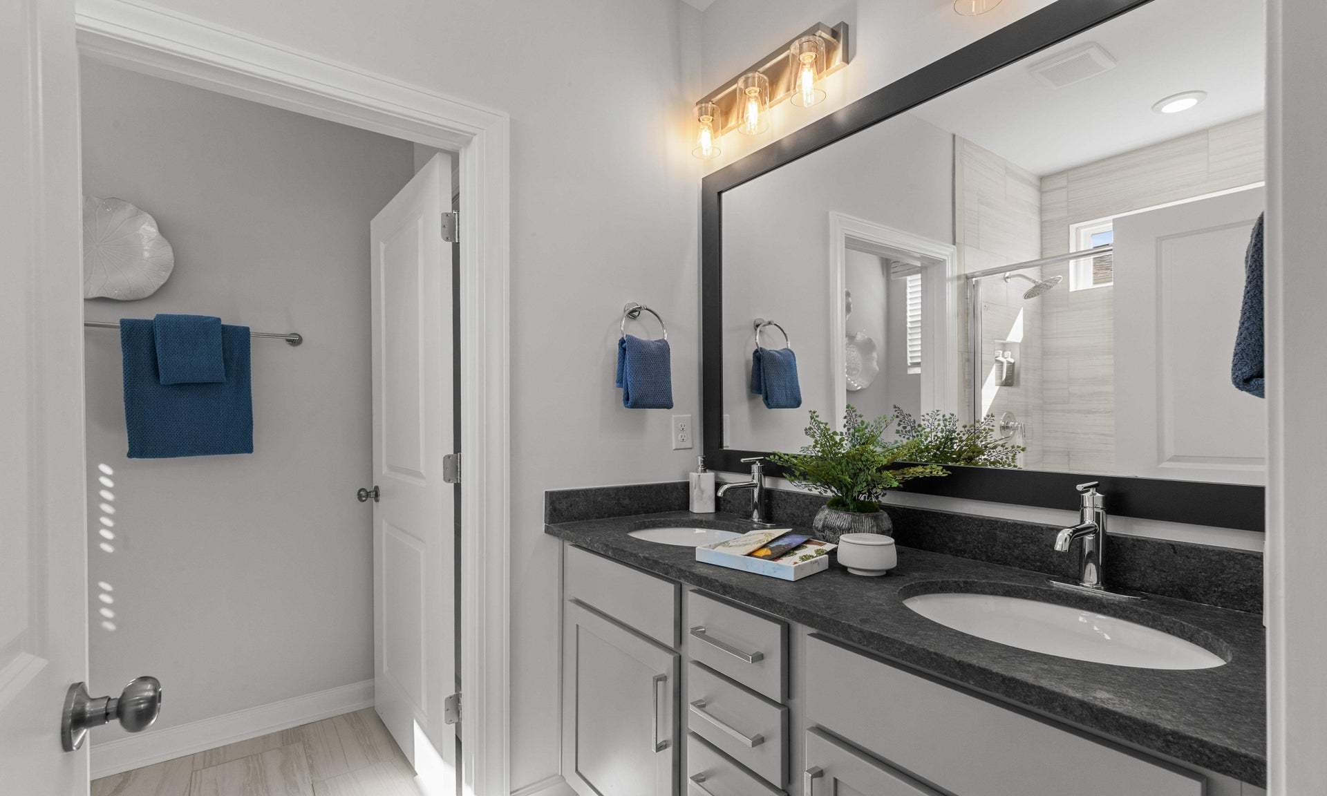Owner's Bathroom