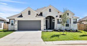 413 Canyon Live Oak (Mia)