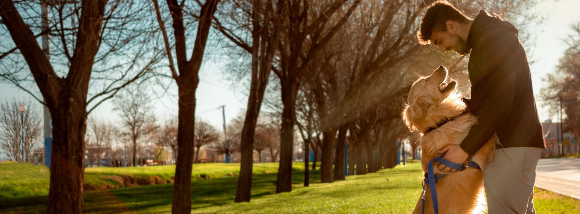 casa en Beacon Point por Chesmar Homes