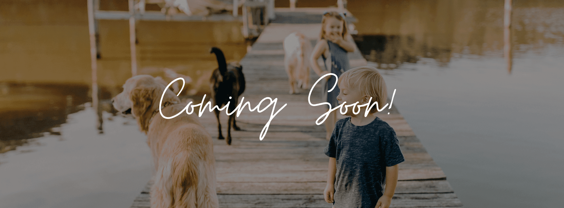 casa en Legacy at Lake Dunlap por Chesmar Homes