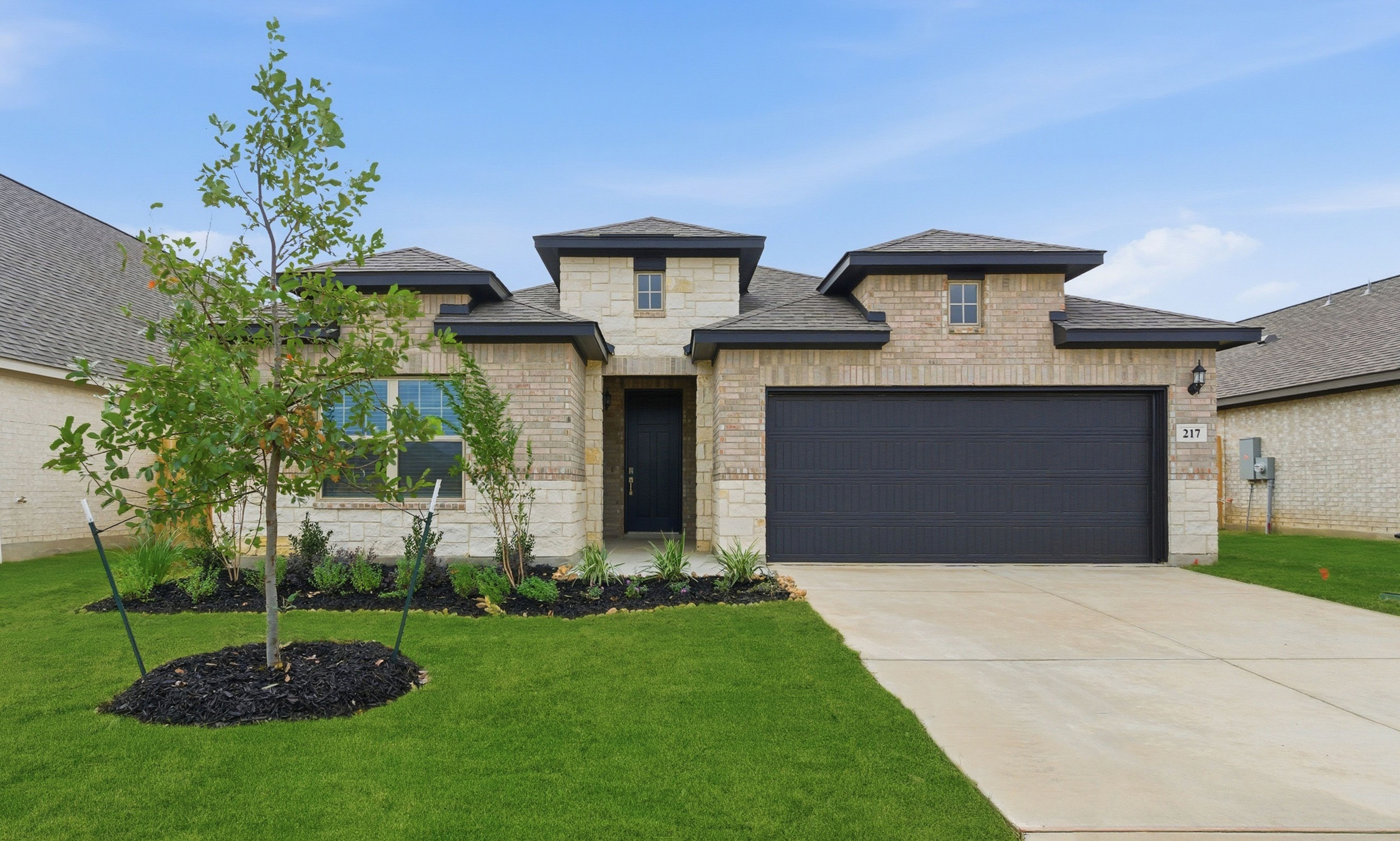 217 Spanish Oak (Morgan)