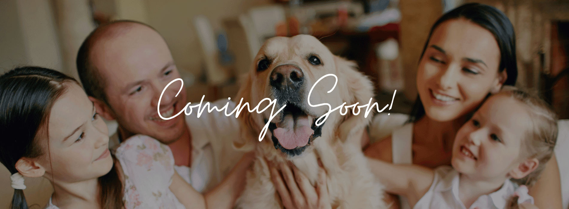 Legacy at Lake Dunlap - New Braunfels, TX