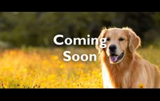 University Heights: Round Rock, Texas - Chesmar Homes