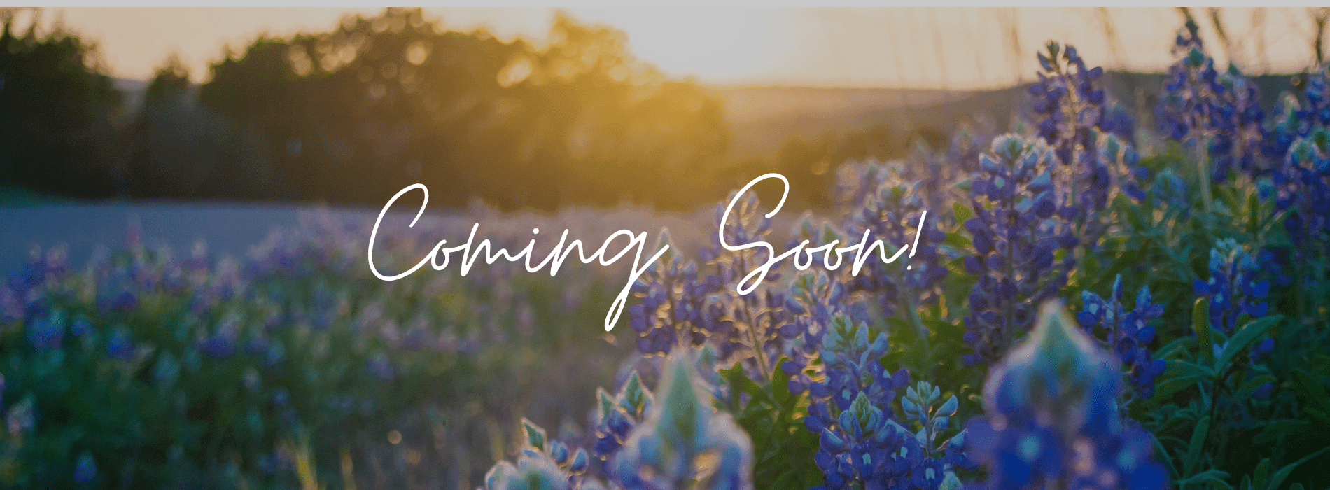 Gregg Ranch - Marble Falls, TX