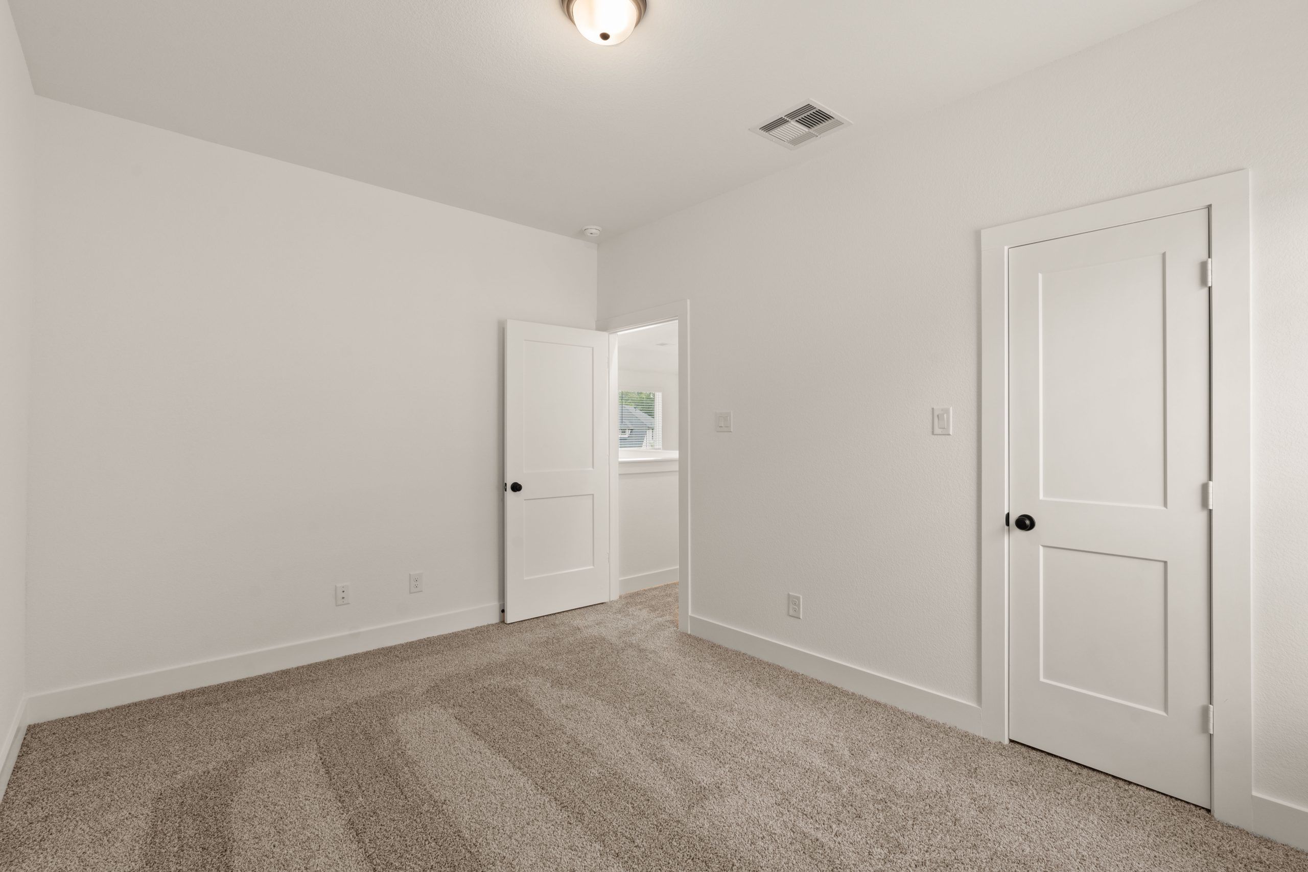 MK301246-scaled.jpg
