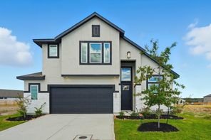 121 Cherrybark Oak (Lincoln)
