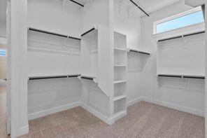 1022 Painted Horse Drive (Sydney)