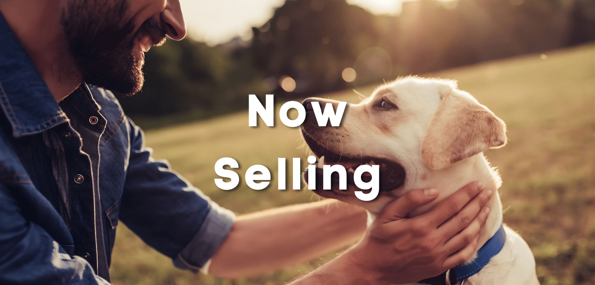 Now-Selling-University-Heights.png