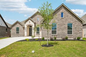 3716 Moru Oak Drive (Samantha)
