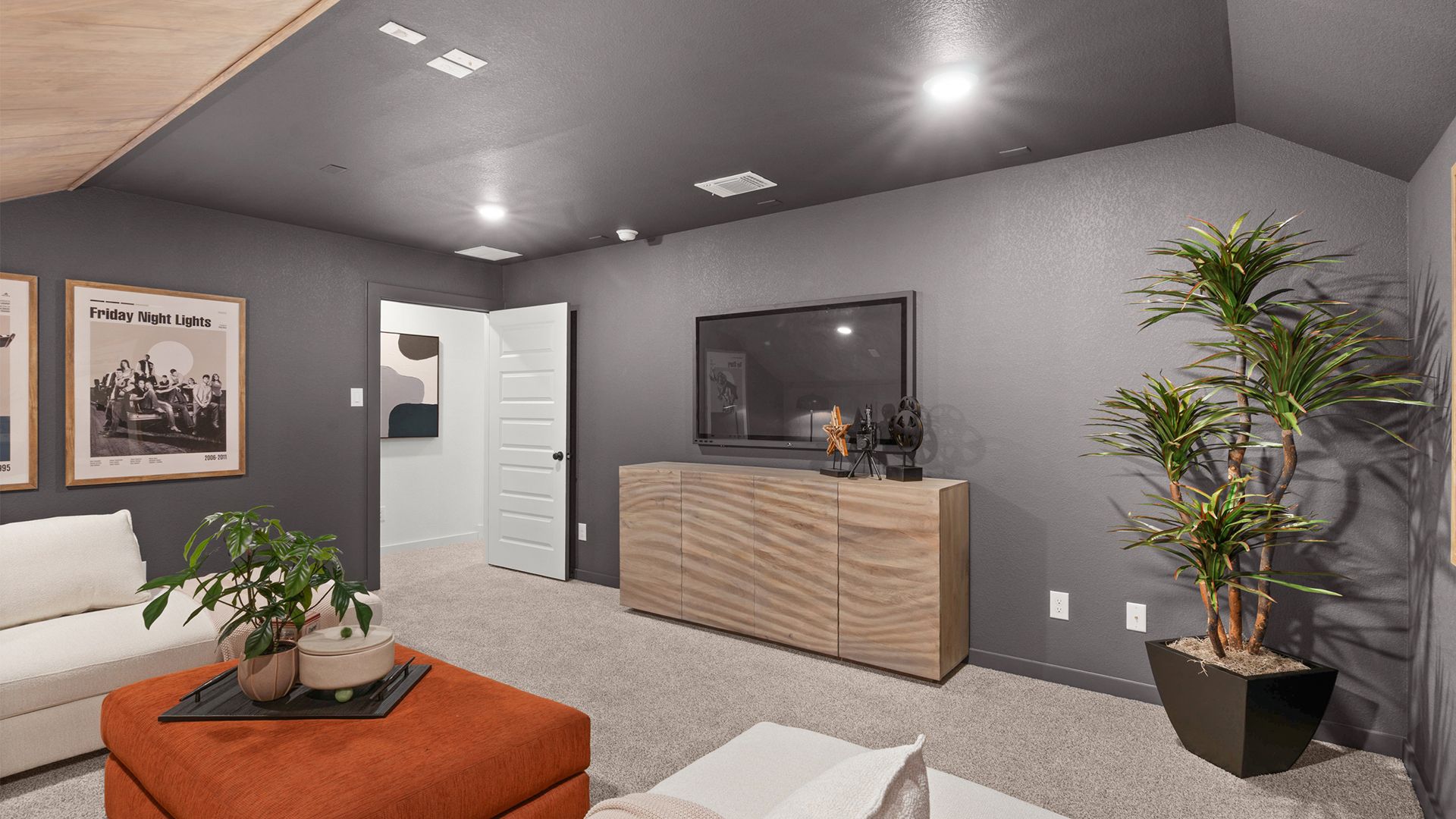 Media Room