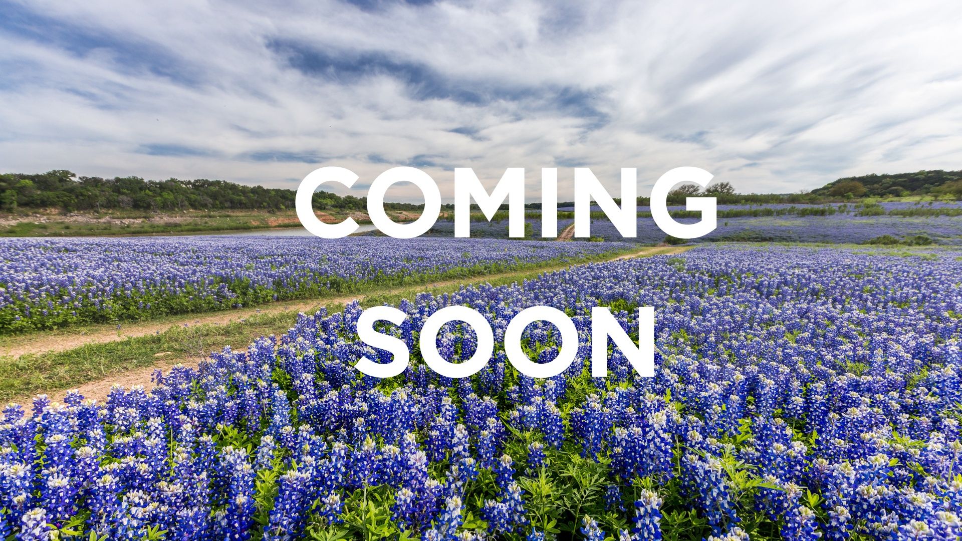 Coming soon