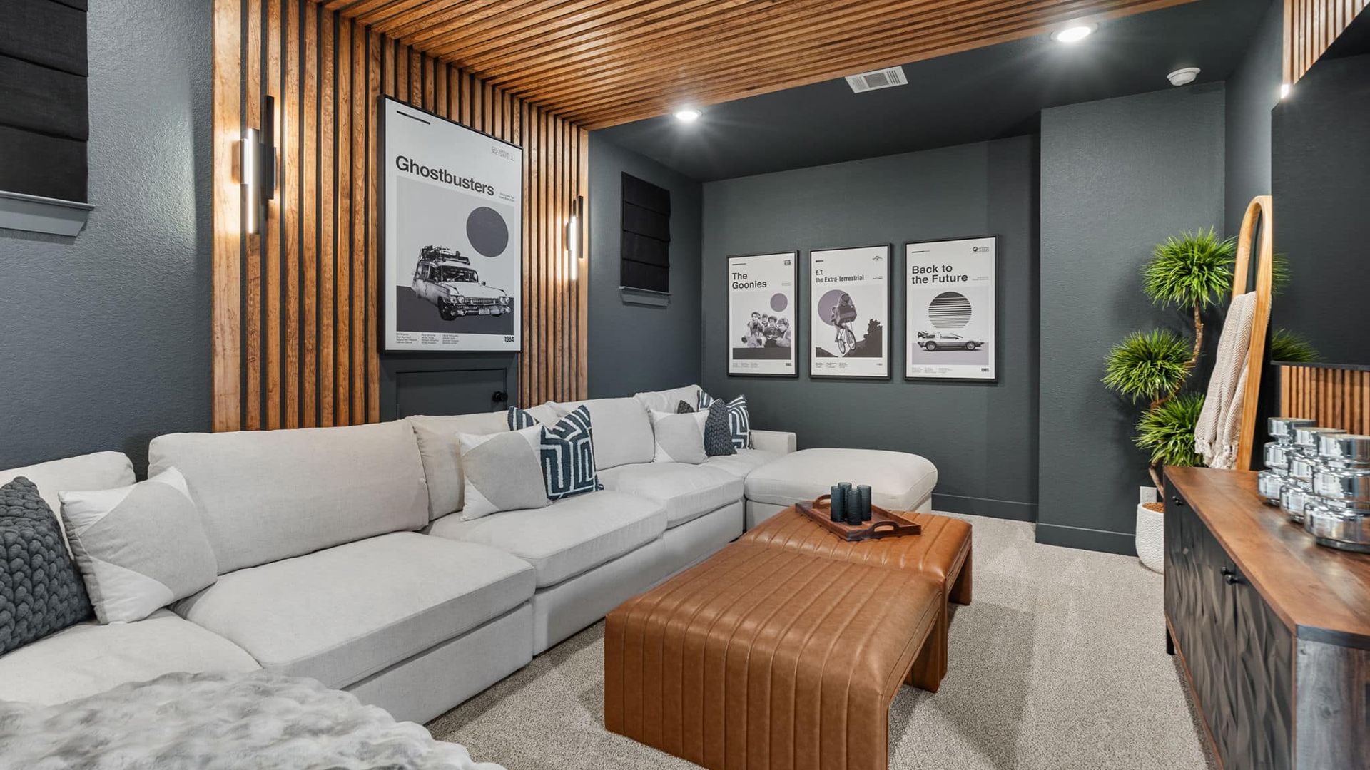 Flex Room