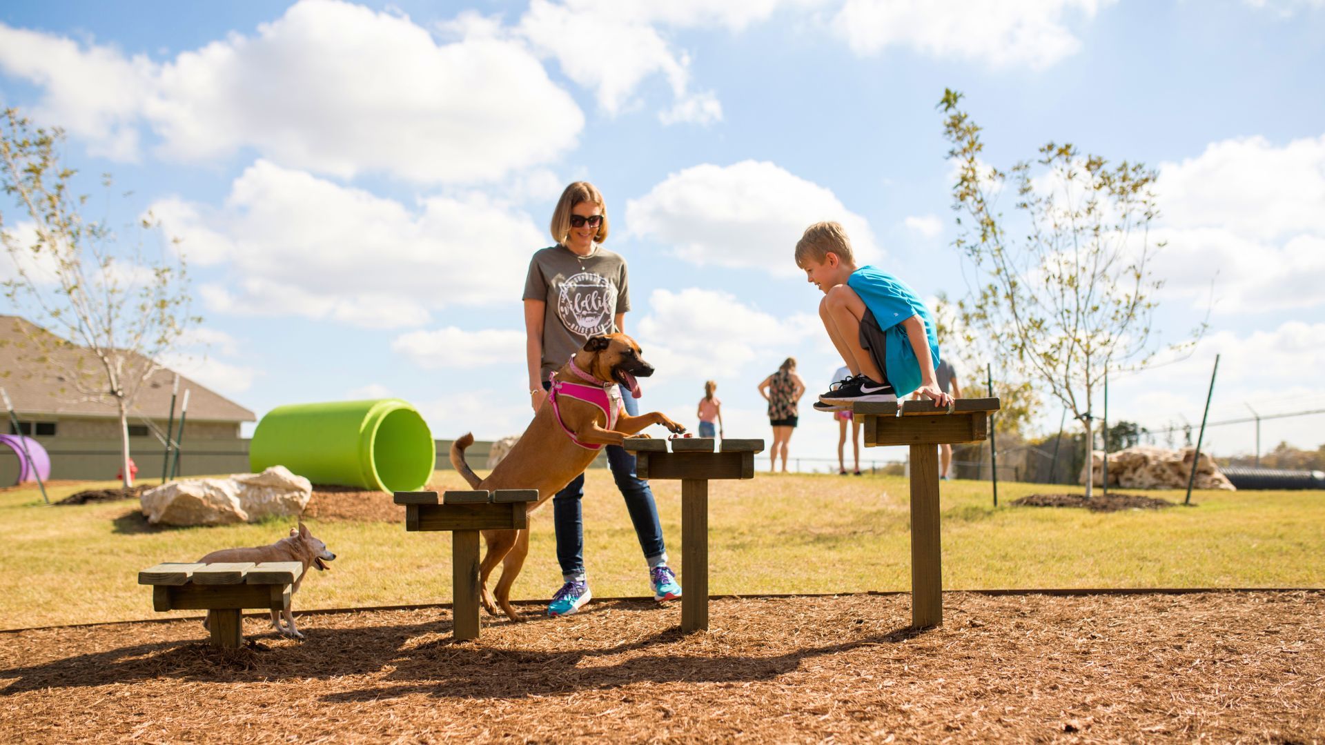 Dog Park