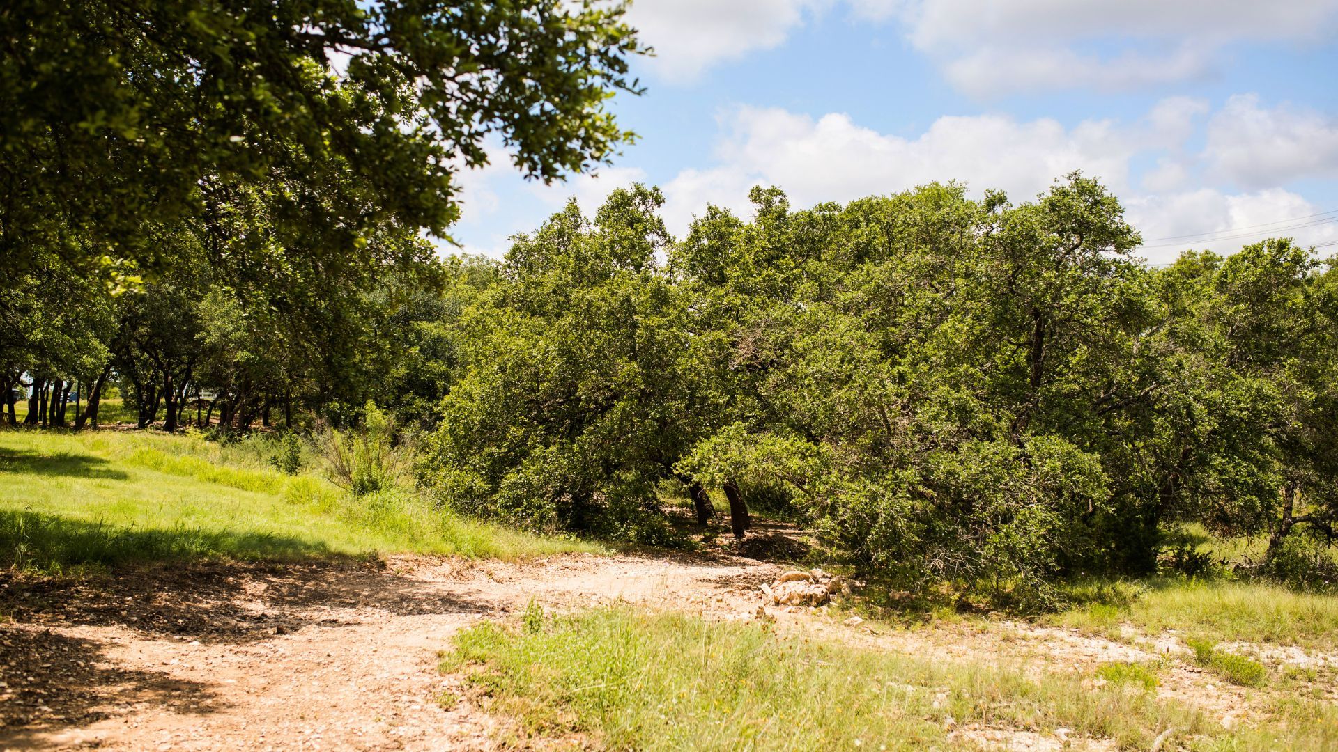 Trail.jpg