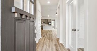 Connor - Trace: San Marcos, Texas - Chesmar Homes