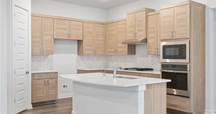 Annie - Premier Series - Briarwood: Elgin, Texas - Chesmar Homes