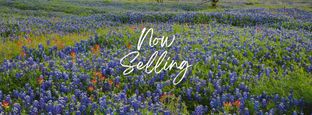Summerton - Village At Three Oaks: Seguin, Texas - Chesmar Homes