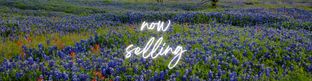 Samantha - Village At Three Oaks: Seguin, Texas - Chesmar Homes