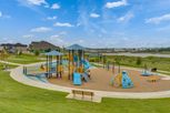 Sunfield - Buda, TX