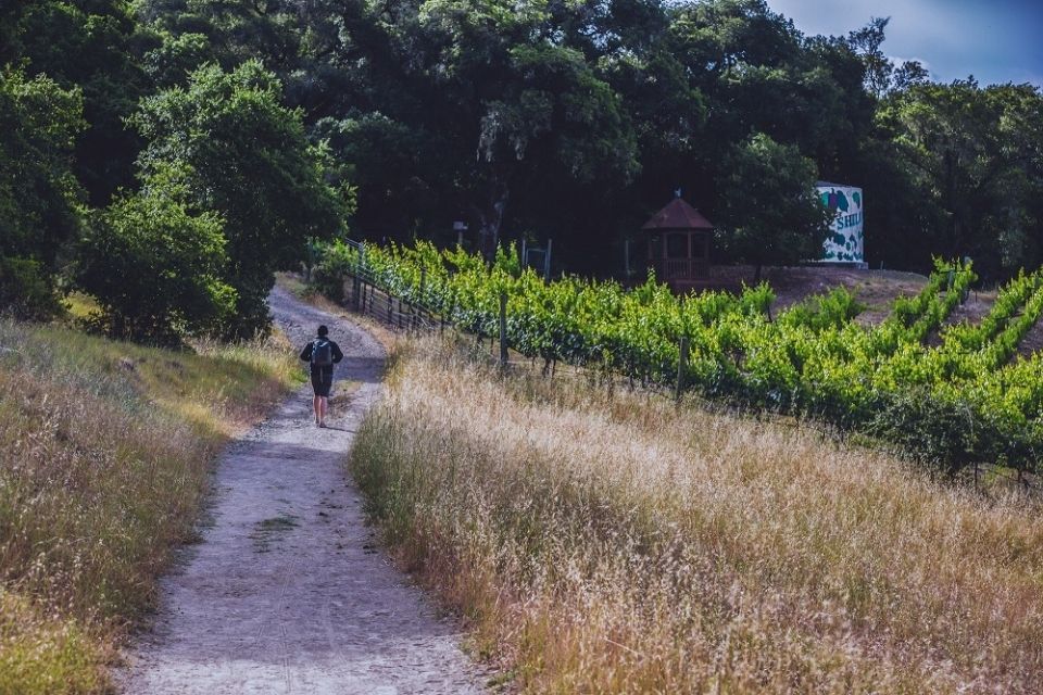 Windsor Points of Interest - Sonoma County Countryside
