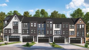 The Mason - The Preserve at Lorton Valley: Lorton, District Of Columbia - Christopher Companies