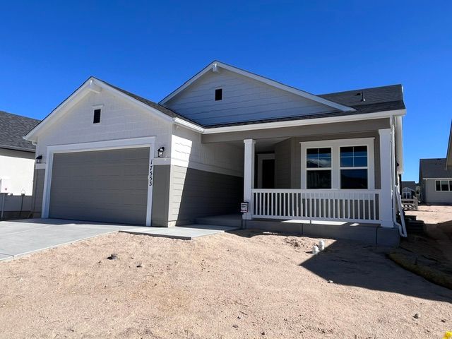 17553 Brass Buckle Way (Parade)