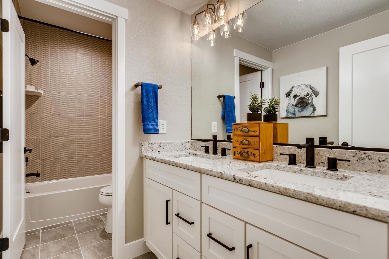 Basement Bathroom