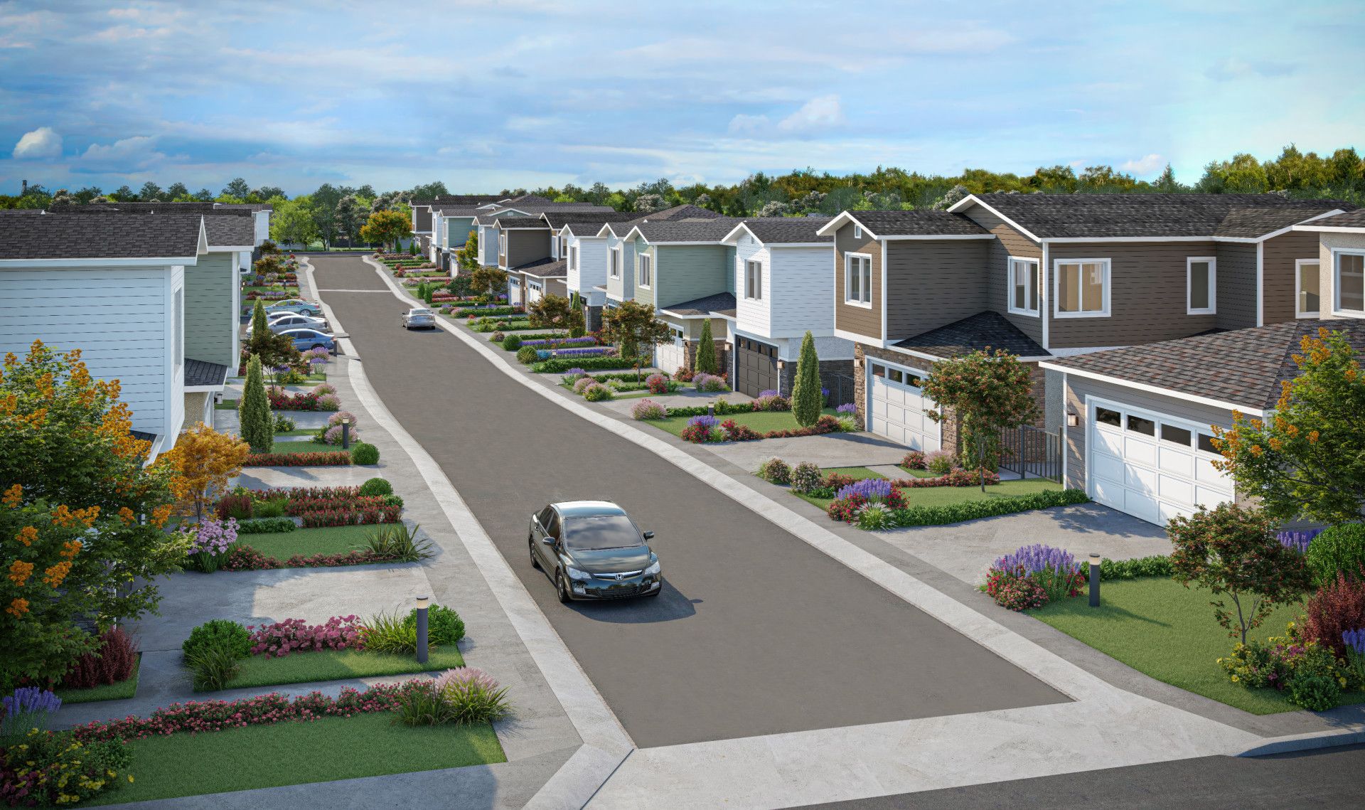 Hill Street Terraces