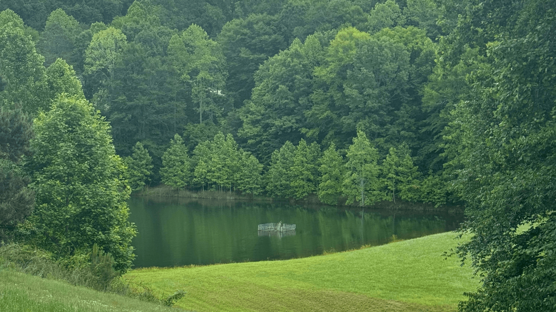 The two stocked ponds are accessible from Harborcliff Drive, off of Harbor Ridge Drive. 