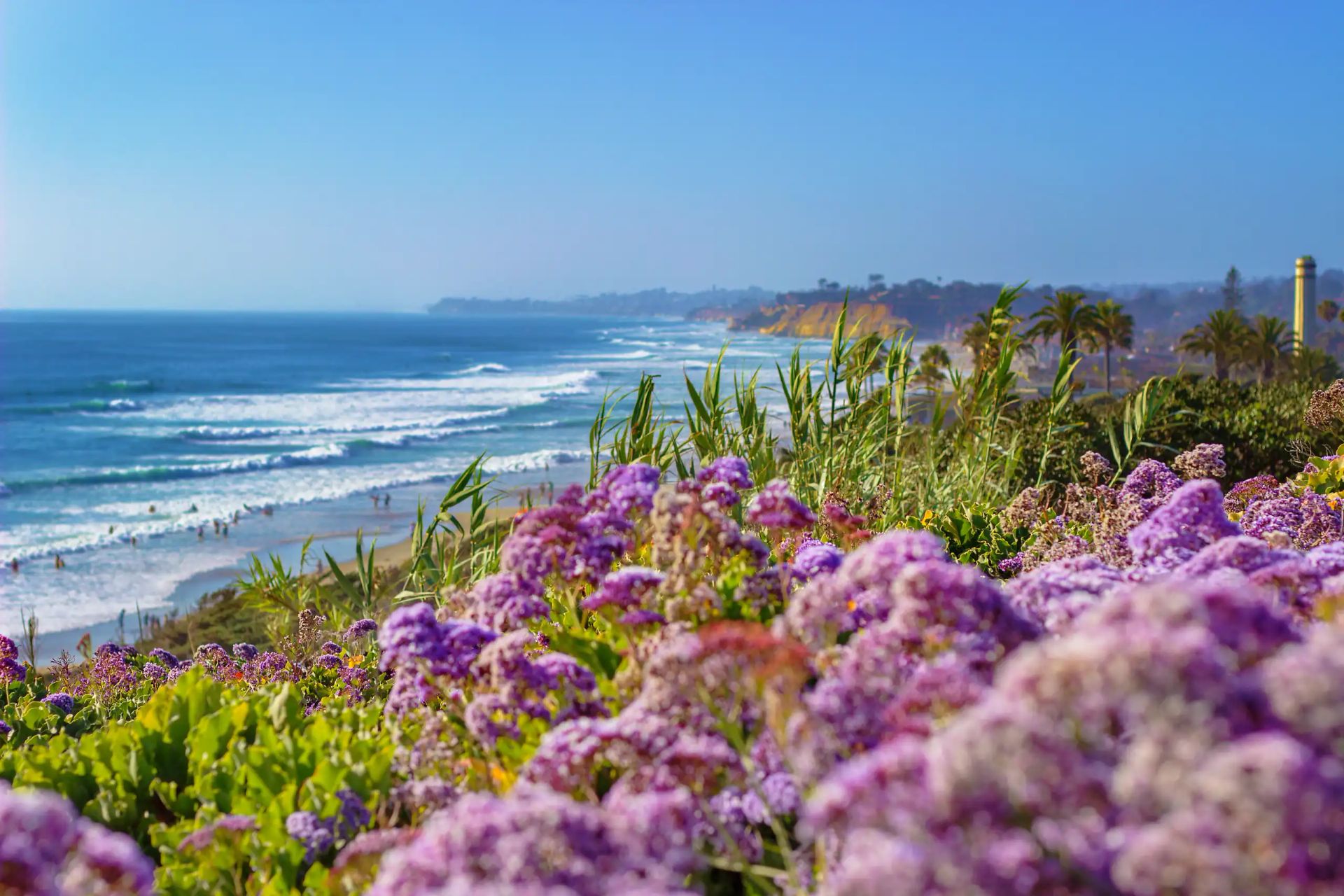 Ocean Knoll