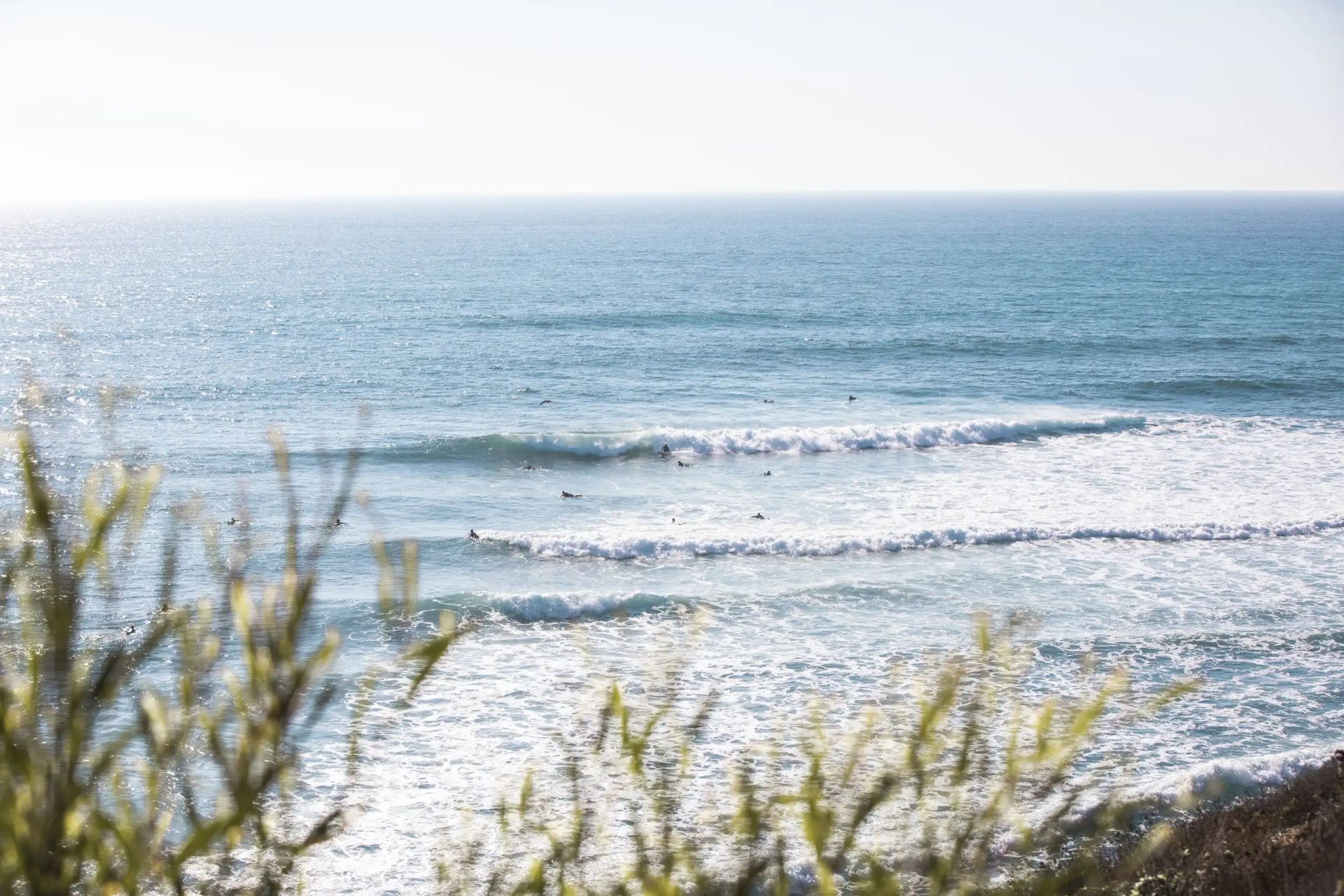 Ocean Knoll