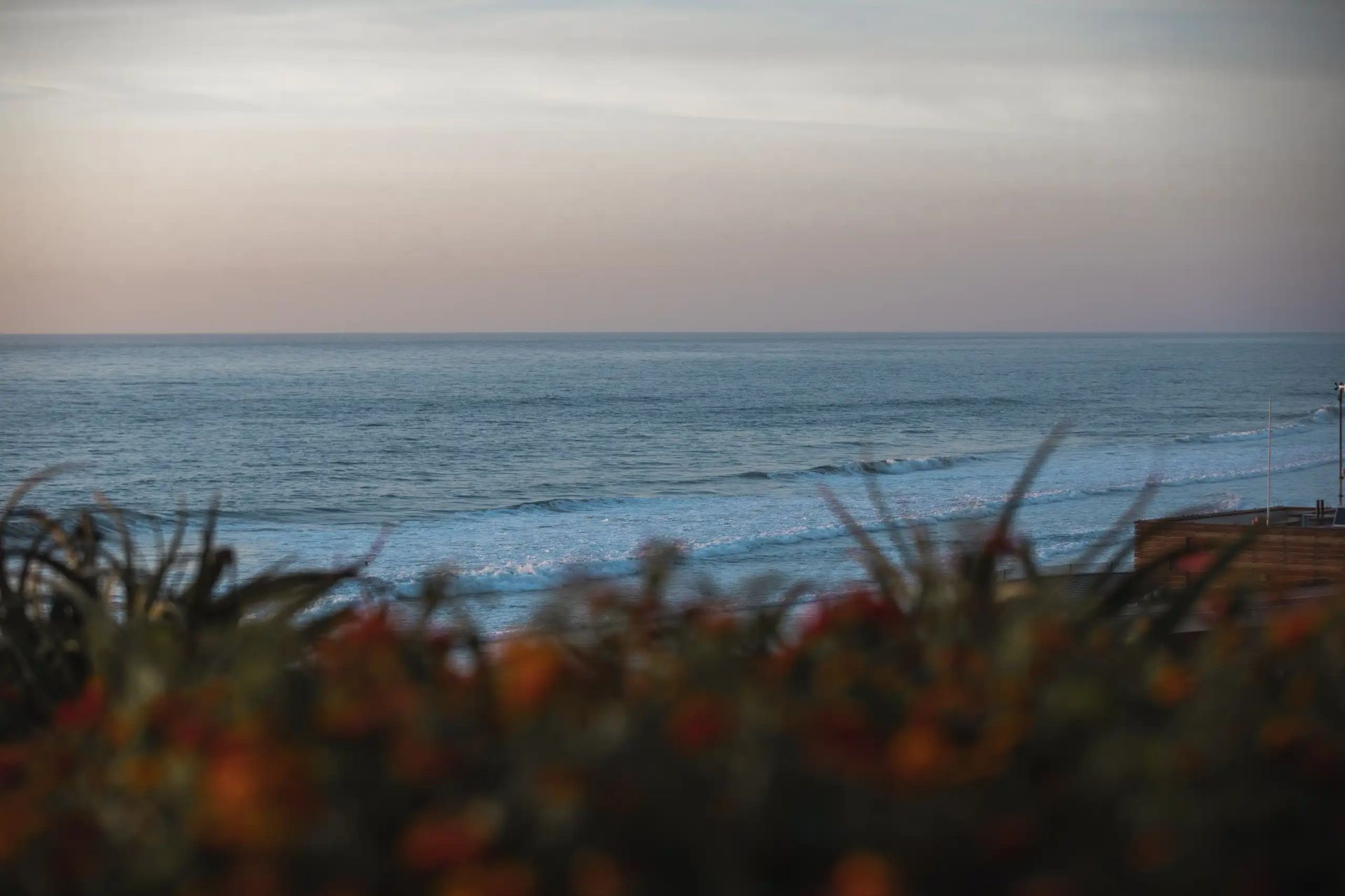 Ocean Knoll
