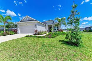Harbour - The Willows: Parrish, Florida - Medallion Home