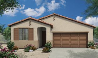 Brisas - Maple at North Copper Canyon: Surprise, Arizona - Courtland Communities