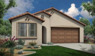 Rincon - Maple at North Copper Canyon: Surprise, Arizona - Courtland Communities