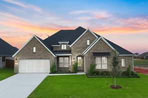 237 Basketflower Drive (Natalia)