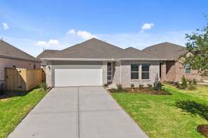 3631 Atlas Point Lane (Wise)