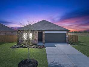 5330 Buffalo Grass Lane (Wise)