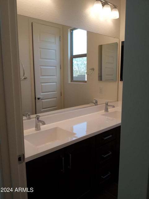 Double Sink Vanity