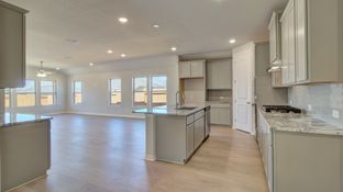 Fiji - Meyer Ranch - Enclave: New Braunfels, Texas - DRB Homes