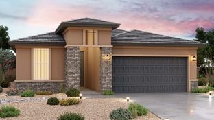 Acacia - Sienna Park: Buckeye, Arizona - DRB Homes