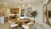 casa en Cielo por DRB Homes